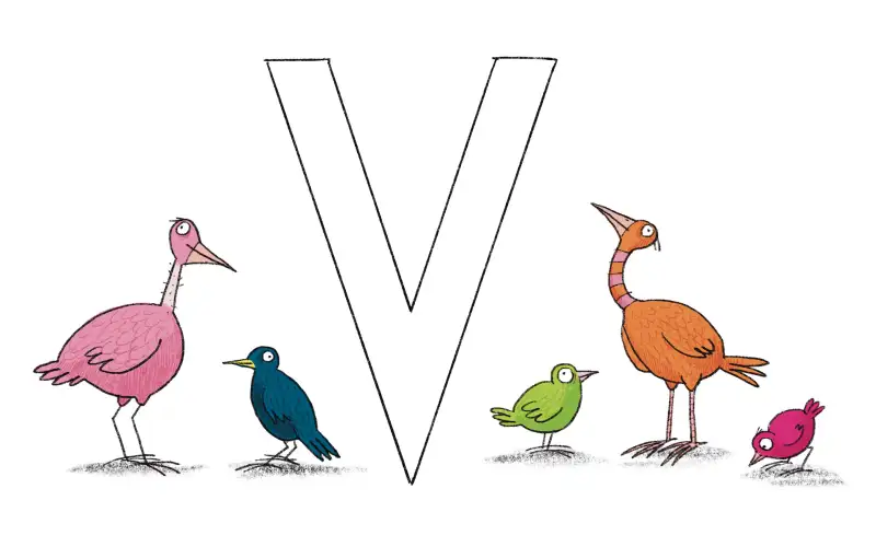 Lustige Vögel
